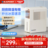 蓝宝（BLAUPUNKT）厨房冰雾扇冷风空调扇制冷小型壁挂电风扇加湿水冷风扇冷风机防油烟节能低噪加湿器 【经典爆款-X5】快速降温/台式免安装