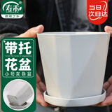 寿禾 花盆家庭园艺盆栽绿萝多肉发财树种植盆 木里盆小号-浅灰