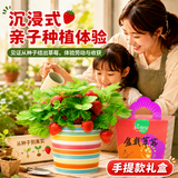 IAM City Farmer草莓DIY趣味种植盆栽可食用种子阳台种植开学季教师节礼物10098