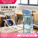 特百惠（Tupperware）茶韵500ml塑料杯男女士学生运动水杯子大容量泡茶杯 冰水蓝