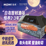 美威冷冻智利三文鱼净重6kg整条轮切礼盒大西洋鲑鱼中秋节送礼 进口鱼