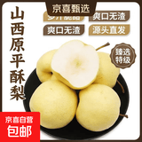 京喜加山西原平同川酥梨贡梨华臻9 原平酥梨 10斤带箱净重9.5斤单果210g