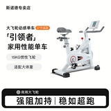 斯诺德（SiNuoDe）动感单车家用商用运动器材健身车室内静音脚踏自行车健身房健身 商用大飞轮-SP升级款-冰川白