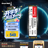 长城（Great Wall）512GB SSD固态硬盘 M.2接口SATA协议 读速540MB/S GW1000系列