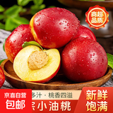【时令鲜桃】山西红油桃脆甜可口黄肉油桃新鲜水果生鲜桃子 【限量抢购】带箱2斤，净重1.7斤（单果50g+)