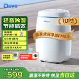 德业（Deye）除湿机/抽湿机 除湿量12升/天 家用轻音吸湿器地下室干燥机干衣机低功耗手机智控DYD-E12A3