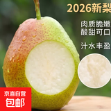 京喜加国产红香酥梨果肉脆嫩2026新梨水果生鲜香梨 2粒装