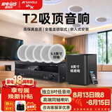 山水（SANSUI）T2 嵌入式吸顶音响音箱 5.1家庭影院音响套装  吊顶喇叭 音箱功放家用商用 家庭吸顶音响客厅环绕 T2【900W功放+5.5吋喇叭*5+8吋炮】