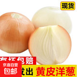新鲜黄洋葱黄金水果洋葱即食蔬菜调料烧烤食材 新鲜黄洋葱 4斤 含箱