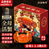 【活蟹】漁家师傅大闸蟹全母2-2.3两6只去绳足重鲜活螃蟹生鲜现货海鲜礼盒源头直发