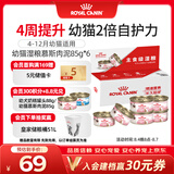 皇家 幼猫湿粮罐头KLC 通用粮 4-12月 慕斯肉泥85g*6【礼盒装】