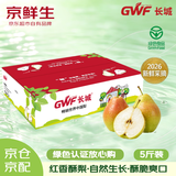 京鲜生【应季新梨】红香酥梨 净重5斤装 单果100g+ 生鲜水果