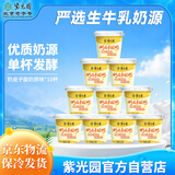 紫光园奶皮子酸奶120g*10老字号北京特产低温酸奶京东自营源头直发包邮