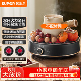 苏泊尔（SUPOR）迷你电陶炉 煮茶器煮茶炉煮茶壶 养生围炉煮茶泡茶办公家用不挑器具SW-DTL05