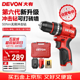 大有（Devon）京东集采JC系列12V无刷冲击手电钻电动螺丝刀电动工具5209U塑盒装