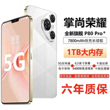 掌尚荣耀手机1TB大内存7800mAh快充长续航骁龙888电竞游戏学生学习 雪欲白 16G运行+256G内存