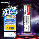 长城（Great Wall）2TB SSD固态硬盘 M.2接口(NVMe协议) PCIe4.0x4 读速高达7300MB/s GW7000系列