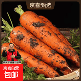 京喜加山东新鲜胡萝卜水果胡萝卜现挖现发蔬菜水果沙地红萝卜减脂 带泥胡萝卜5斤 净重 含箱