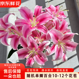 京东鲜花单瓣香水百合1束鲜切花云南基地直发插花节日送礼花束源头直发