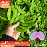 寿禾 大荚荷兰豆种子豌豆尖龙须菜菜豌豆弯豆种家庭秋冬季蔬菜籽种籽 矮生粉花荷兰豆种子200g（50gx4包）