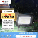公牛（BULL）LED投光灯户外庭院工厂园林灯露营灯 IP65防水等级30W-6500K白光
