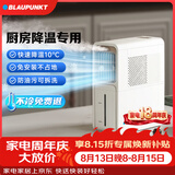 蓝宝（BLAUPUNKT）【厨房降温】冰雾扇电风扇家用空调扇加湿水冷风扇冷风机小空调扇无需冰晶 节能低噪可拆洗 X5