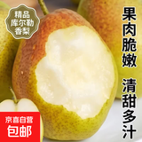 京喜加国产红香酥梨果肉脆嫩2026新梨水果生鲜香梨 带箱1斤试吃装（单果100g+）