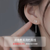 蔓笙999足银镂空星星耳线小众设计流苏耳钉养耳洞耳饰高级感耳环送礼 S999足银双镂空星星耳线-一对