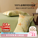百丽丝枕套100%全棉枕套枕巾纯棉学生枕头罩枕套一对枕头套单件 48x74cm