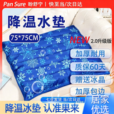 盼舒宁【万评口碑优选】水垫注水垫冰垫防病人水袋医床垫褥疮床上护理用 75*75cm【送冰晶 * 可躺可坐】 加厚防爆 | 注水款 | 深蓝色雪花图案
