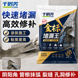 千居美金标堵漏王补防漏速干水泥下水管卫生间水管材料水不漏堵漏宝1袋