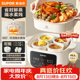 苏泊尔（SUPOR）电炖锅电炖盅隔水炖家用多功能煲汤炖汤盅陶瓷燕窝炖盅一盅五胆蒸炖一体 DZ25YC886