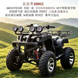 赛普迪沙滩车四轮越野摩托车全地形燃油山地成人四驱/后驱摩托车双人ATV 大公牛 200CC/10寸轴传动套餐四