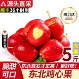 红福纪 东北鸡心果【顺丰多地次日达-配送上门】小苹果沙果海棠果中秋礼 净重5斤甄选大果【10-12枚/斤】 甄选装【顺丰快递礼盒-蕞划算】