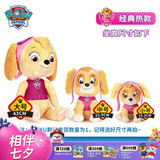 汪汪队立大功（PAW PATROL）汪汪队玩具毛绒全套狗狗玩偶公仔男女孩玩具旺旺队儿童生日礼物 经典款-天天公仔【需选尺寸】 中号-坐或站高约17~22.9CM