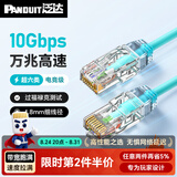 泛达 泛达超六类细网线CAT6A类跳线家用电脑宽带POE监控万兆高速成品线 冰湖蓝 0.5米