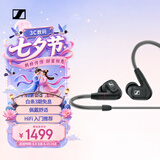 森海塞尔（Sennheiser）IE300 高保真HiFi音乐耳机有线耳机耳挂 入耳式耳机 黑色 礼物