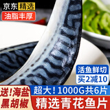 朵芙原切青花鱼 1kg深海鱼类特大青花鱼新鲜鲭鱼鲐鲅鱼生鲜海鲜水产 【单片独立包装】超大6片净1000g