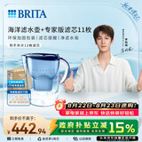 碧然德（BRITA）过滤净水器 家用滤水壶 净水壶 海洋系列 去水垢专家版滤芯11枚 环保加固包装