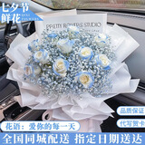 艾斯维娜七夕情人节鲜花速递满天星玫瑰花束送女友生日礼物全国同城配送 11朵碎冰蓝玫瑰花束-星辰大海