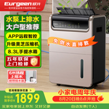 欧井（Eurgeen）除湿机/抽湿机 除湿量50升/天 泵压排水 回南天家用地下室别墅商用工业净化净味吸湿器 OJ-550EP