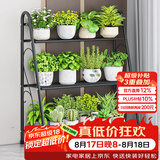蜗家花架阶梯式阳台装饰花架落地简约多肉花盆架层架置物花架