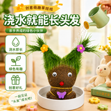 IAM City Farmer草头娃娃浇水就长可爱迷你植物盆栽幼儿园礼物配陶瓷底托10113
