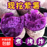 紫罗兰红薯沙地现挖紫薯宝宝辅食紫芋头山芋苕粗粮新鲜包邮 紫薯5斤大果 品质款
