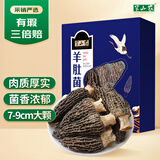 半山农特优级羊肚菌干货50克7-9cm礼盒装云南蘑菇南北干货火锅食材煲汤
