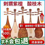 中原之声刺猬紫檀琵琶乐器专业级儿童成人微凹黄檀大果紫檀酸枝木绿檀 成人-【苗还远精制】鸡翅木【头花可选】