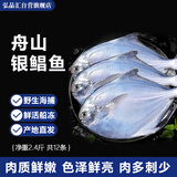 弘品汇 舟山海捕银鲳鱼新鲜冷冻 净重2.4斤(12条）生鲜白鲳鱼类源头直发