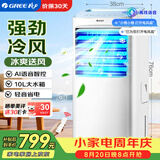 格力（GREE）冷风扇家用空调扇语音遥控水冷塔扇清凉加湿制冷风机节能移动小空调客厅卧室冷气扇 KS-10X63DVg