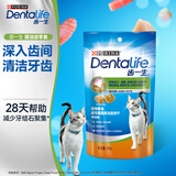 齿一生猫零食猫咪饼干洁齿零食成猫 鸡肉味50g 磨牙减少牙结石