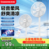 长虹（CHANGHONG）电风扇家用落地扇定时遥控风扇办公大风量立式节能摇头电扇卧室轻音柔风七叶扇FS-LD301
